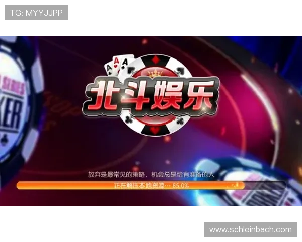 如何选择适合自己的牛牛工具提升游戏体验和赢面详细操作指南